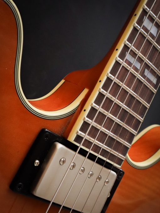 Stanford CR Thinline 35 Vintage Blonde FM - Image 7