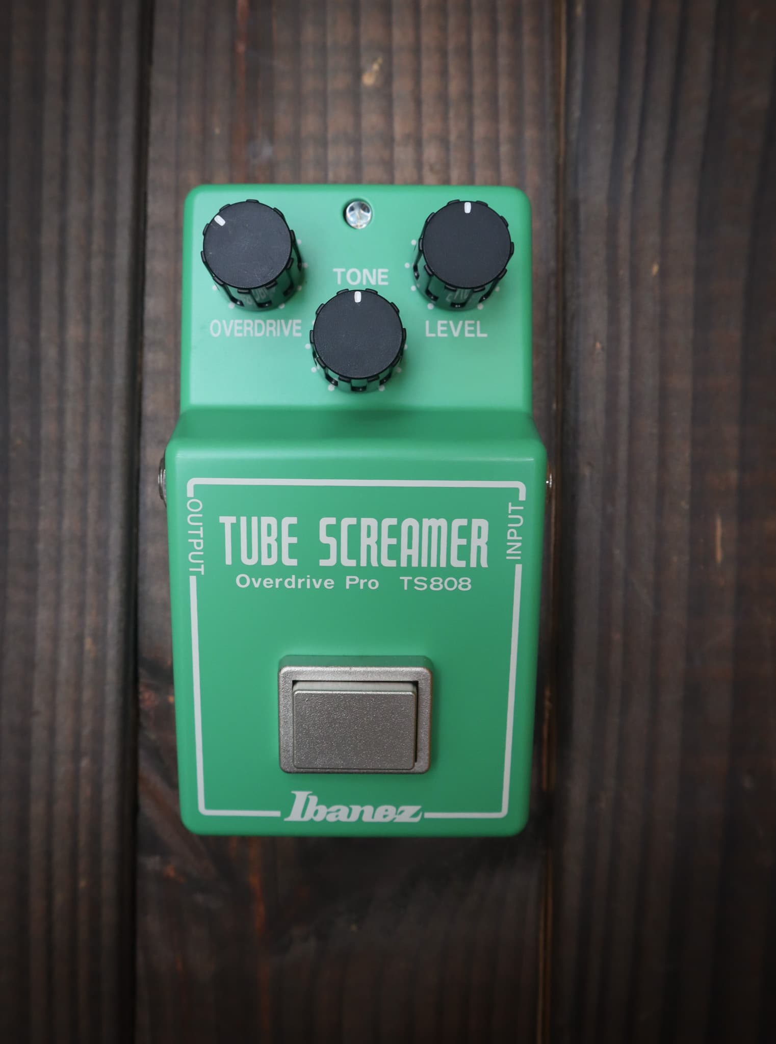 Ibanez TS808 - Kauffmann's Guitar Store