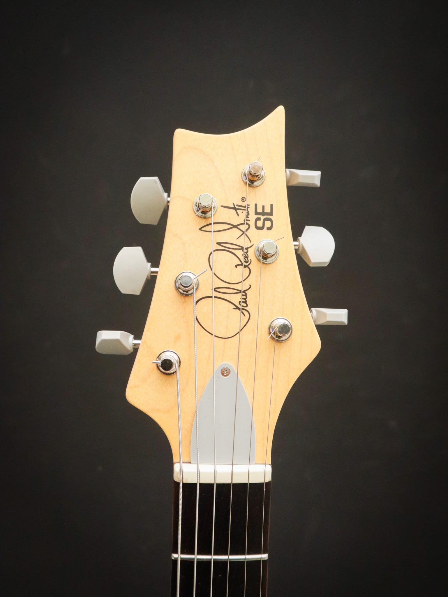 PRS John Mayer SE Silver Sky Sage Green Kauffmann s Guitar Store