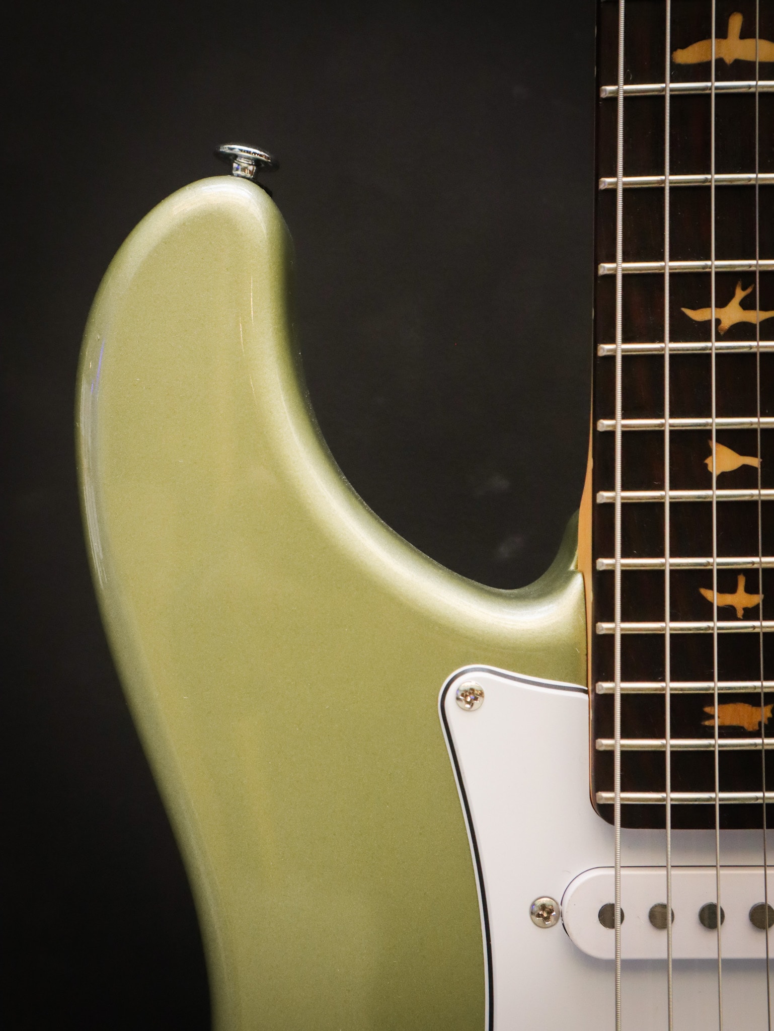 PRS John Mayer SE Silver Sky Sage Green Kauffmann s Guitar Store