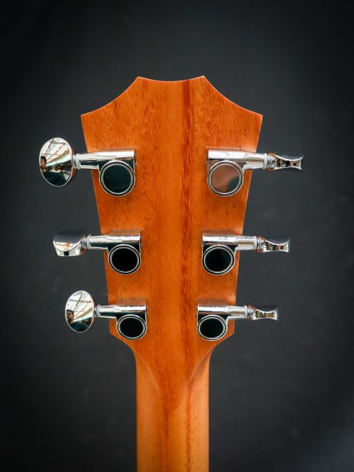 Taylor GS Mini Sapele - Image 7