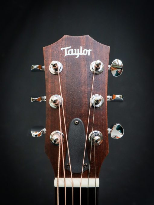 Taylor GS Mini Sapele - Image 6