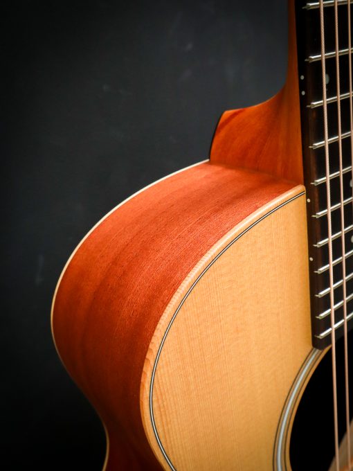 Taylor GS Mini Sapele - Image 5