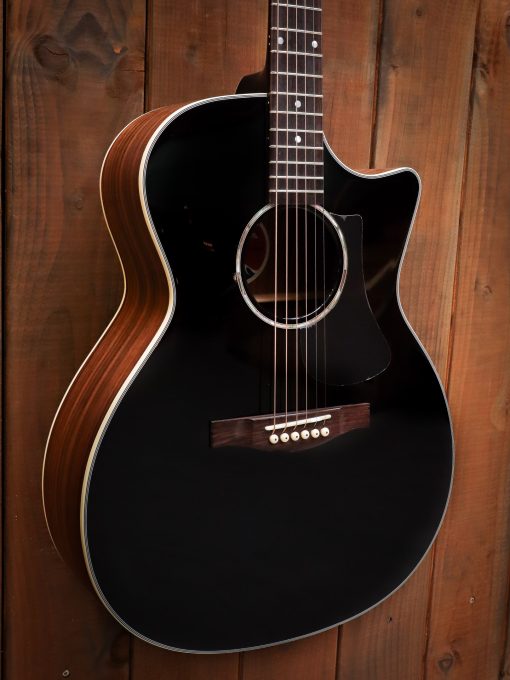 Eastman PCH2 Black - Image 4