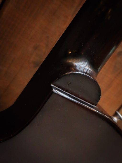 Eastman SB55/v - Image 18