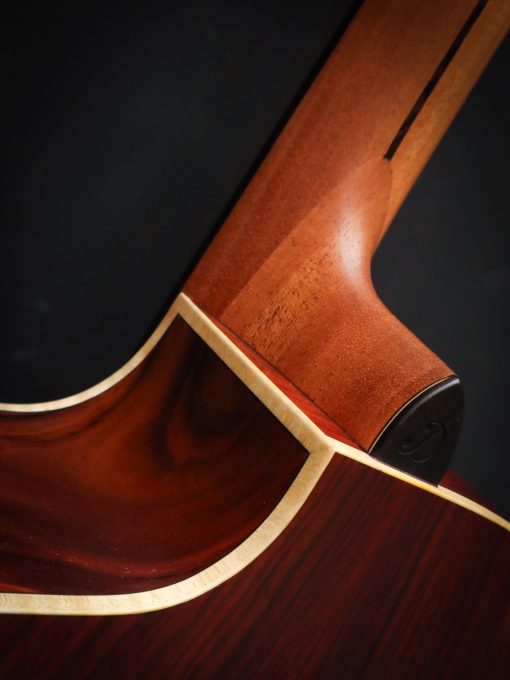Dowina Master Series Cocobolo GAC - Image 17