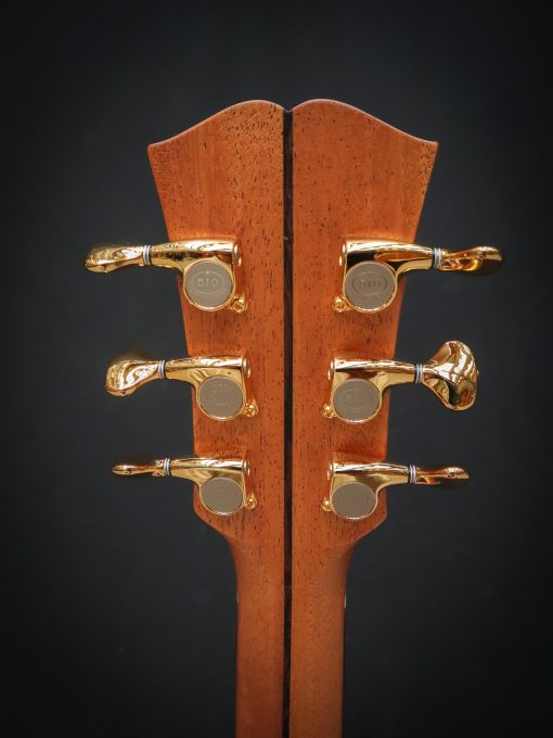 Dowina Master Series Cocobolo GAC - Image 13