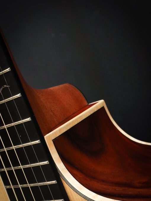 Dowina Master Series Cocobolo GAC - Image 9