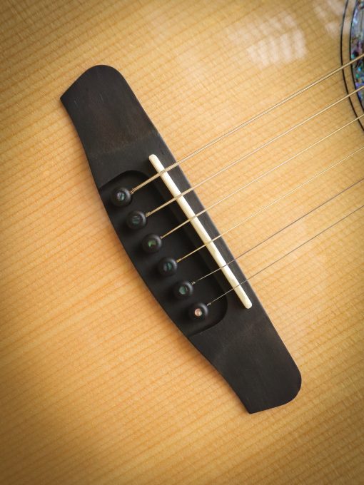 Dowina Master Series Cocobolo GAC - Image 7