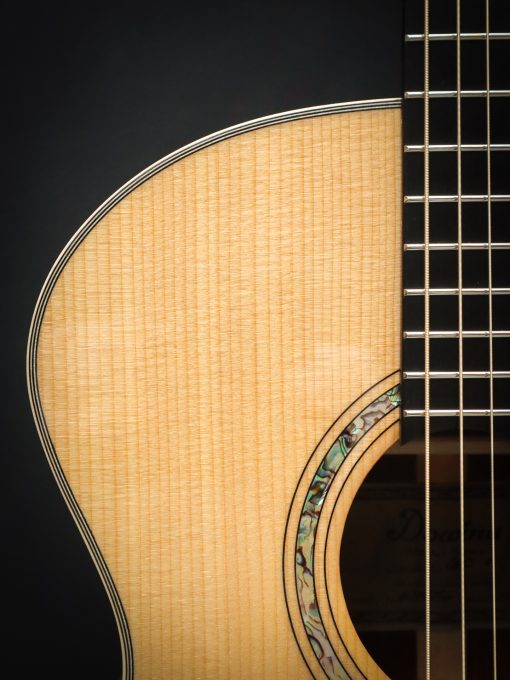 Dowina Master Series Cocobolo GAC - Image 4