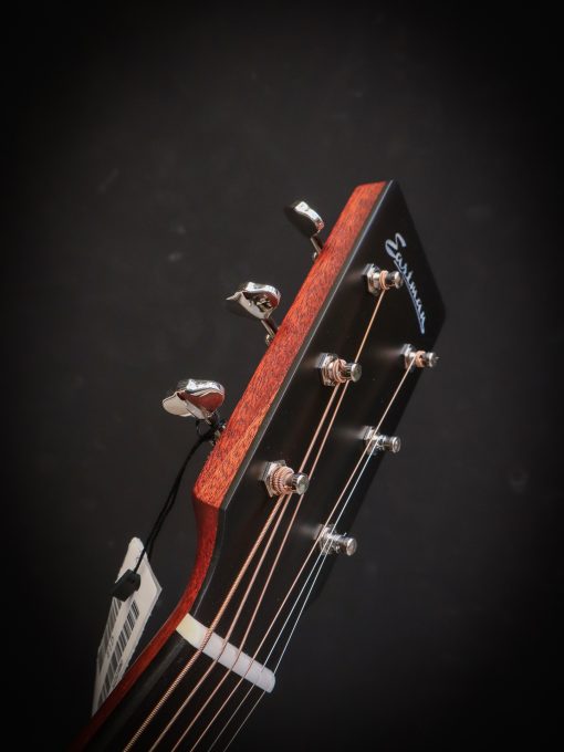 Eastman E1 D - Image 10