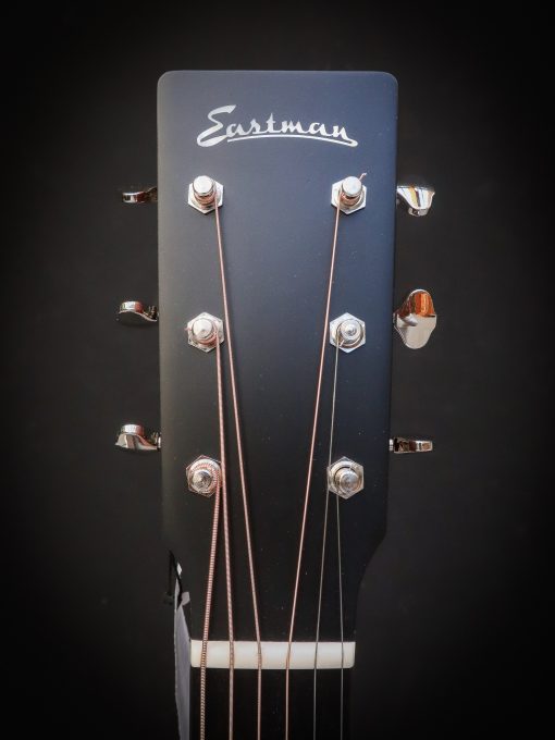 Eastman E1 D - Image 9