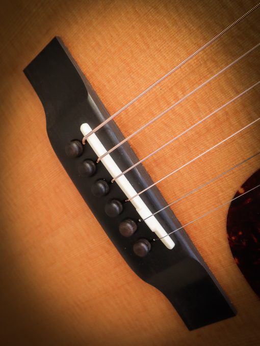 Eastman E1 D - Image 8