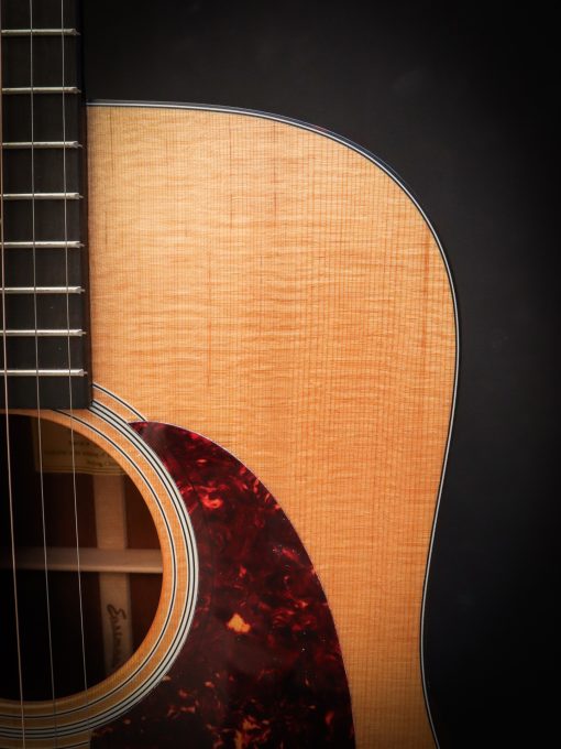 Eastman E1 D - Image 7