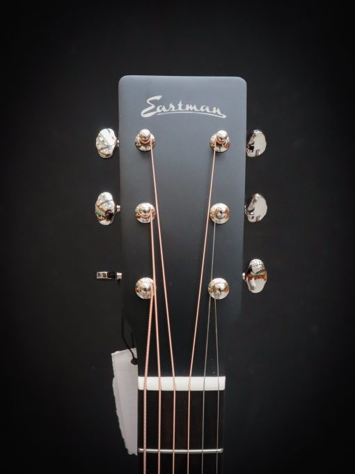 Eastman E1D Special - Image 10