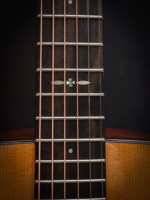 Eastman E1D Special - Image 9