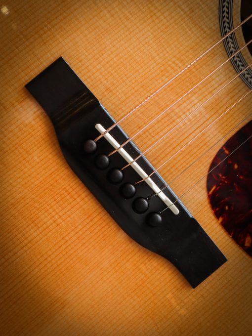 Eastman E1D Special - Image 7