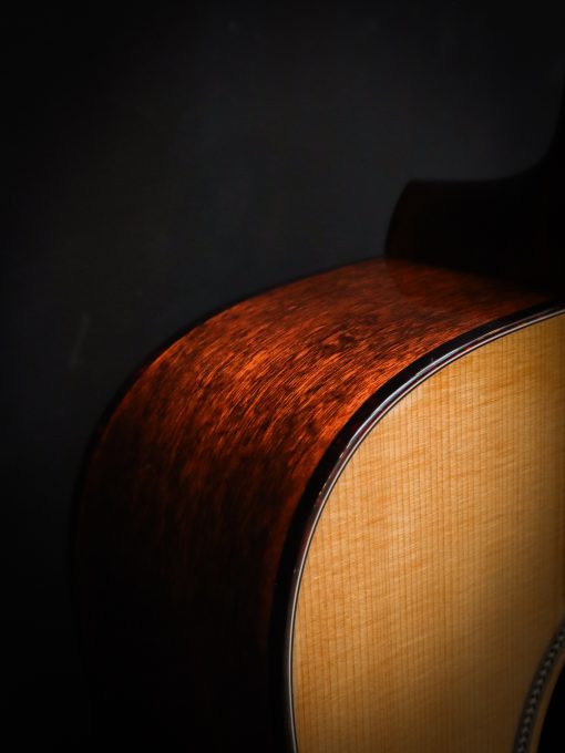 Eastman E1D Special - Image 6