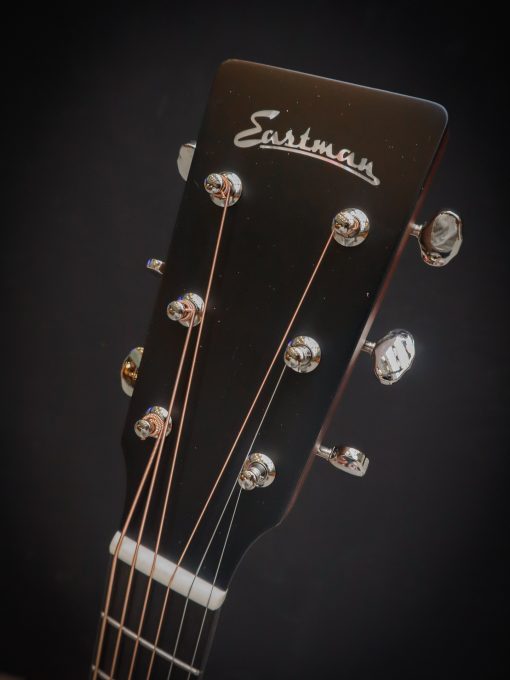 Eastman E1OMCE-SP - Image 12