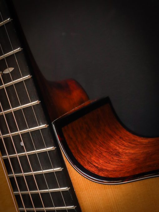 Eastman E1OMCE-SP - Image 8