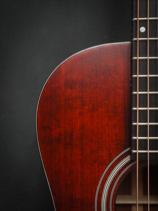 Eastman E1P Bluesmaster Limited Edition - Image 5