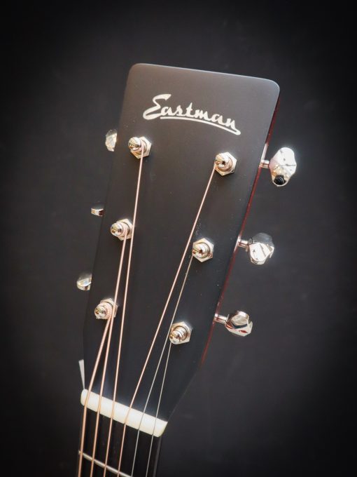 Eastman E6D-TC *RESERVED* - Image 10