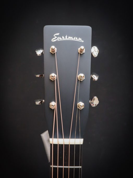 Eastman E6D-TC *RESERVED* - Image 9