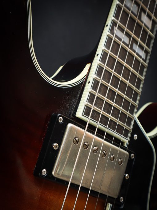 Eastman T59/v Antique Sunburst - Image 6