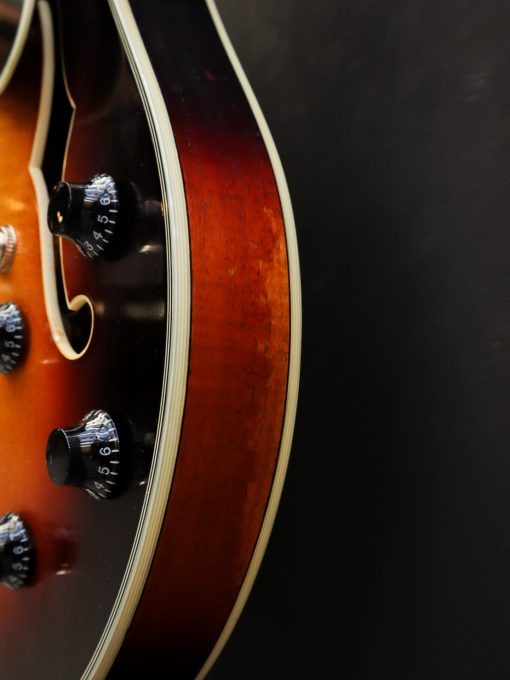 Eastman T59/v Antique Sunburst - Image 12