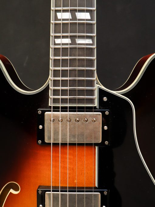 Eastman T59/v Antique Sunburst - Image 5