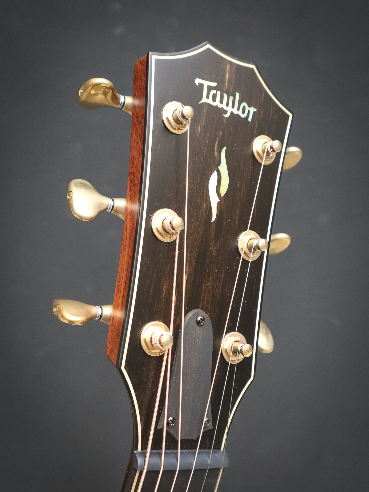 Taylor 814ce Builder's Edition 50th Anniversary