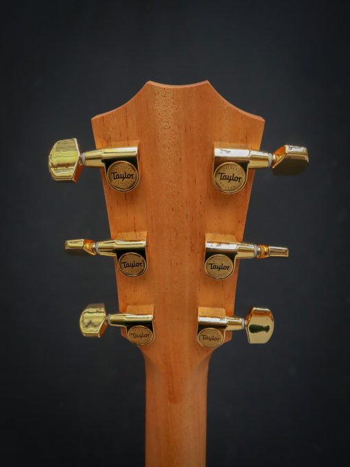 Taylor 217e-SB Plus LTD - Image 11