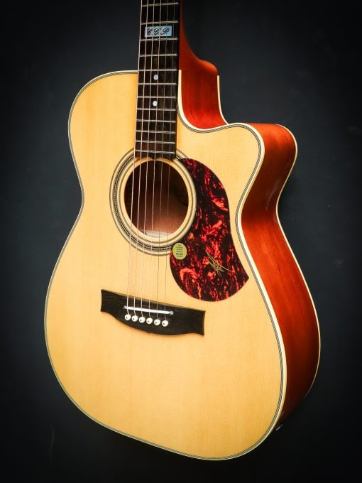Maton 808C Tommy Emanuel - Image 13