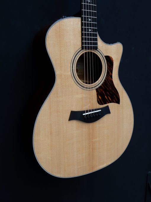 Taylor 314ce V-Class bracing - Image 17