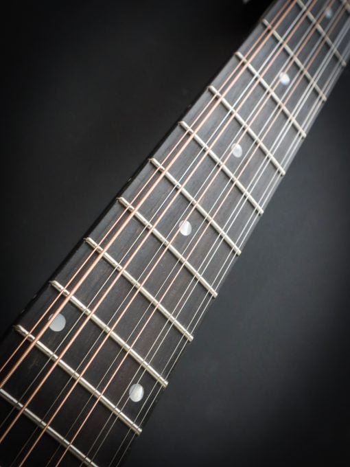 Eastman E1D-Deluxe 12-String - Image 10