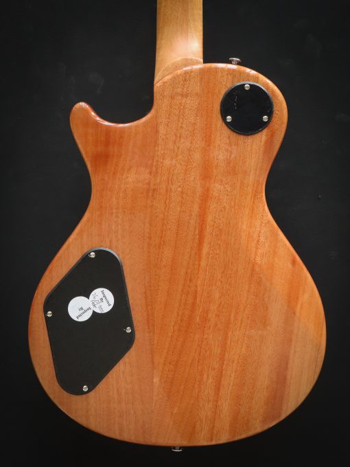 PRS SE Zach Myers - Image 18