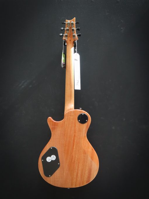 PRS SE Zach Myers - Image 17