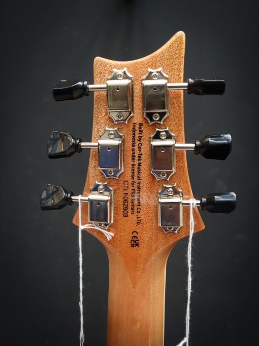 PRS SE Zach Myers - Image 16