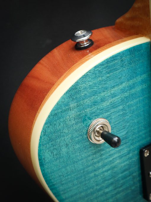 PRS SE Zach Myers - Image 5