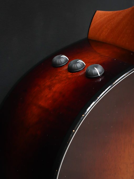 Taylor 224ce-K DLX - Image 6