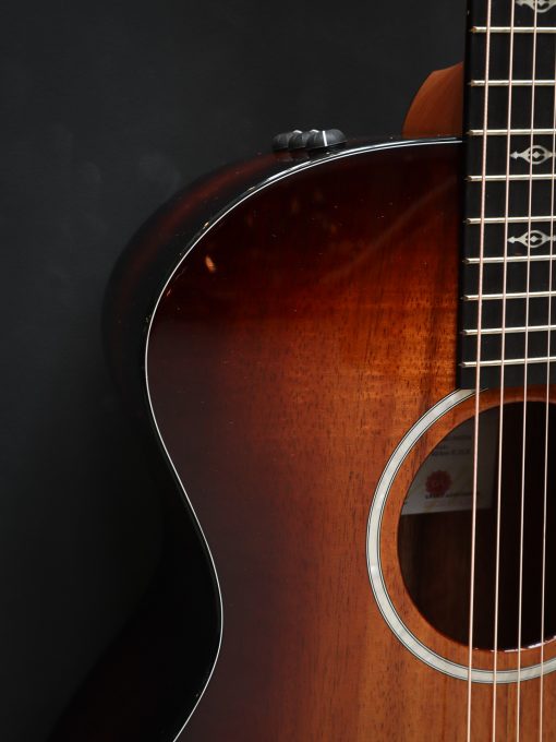 Taylor 224ce-K DLX - Image 5