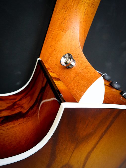 Taylor 214ce Plus Special Edition - Image 16