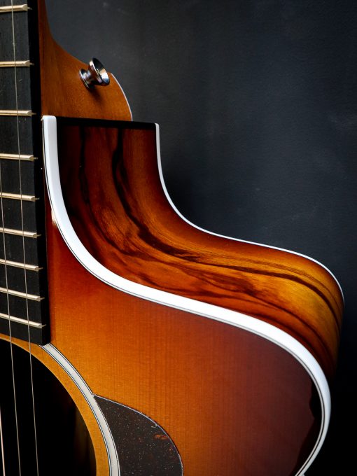 Taylor 214ce Plus Special Edition - Image 7