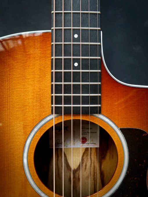 Taylor 214ce Plus Special Edition - Image 5