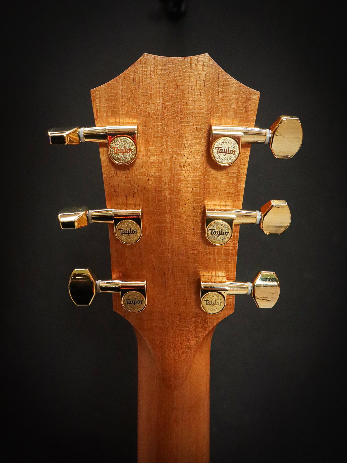 Taylor 50th Anniversary GS Mini-e Rosewood SB LTD Taylor 50th Anniversary GS Mini-e Rosewood SB LTD
