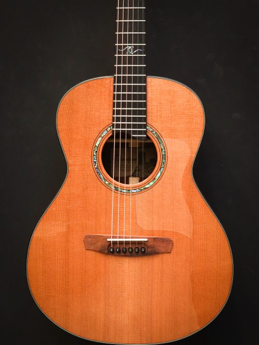 Dowina Master Series GD Cocobolo - Image 3
