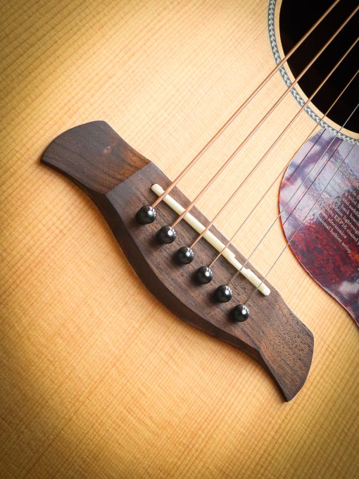 Richwood B-20 includes hard case - Image 7