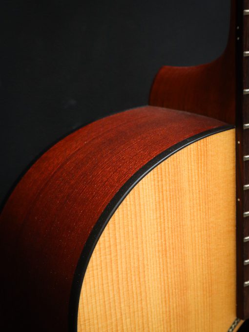 Richwood B-20 includes hard case - Image 6