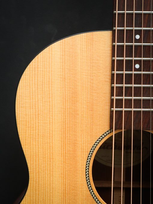 Richwood B-20 includes hard case - Image 4