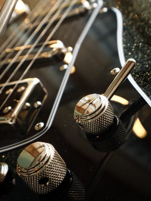 Duesenberg Paloma Black Sparkle - Image 8